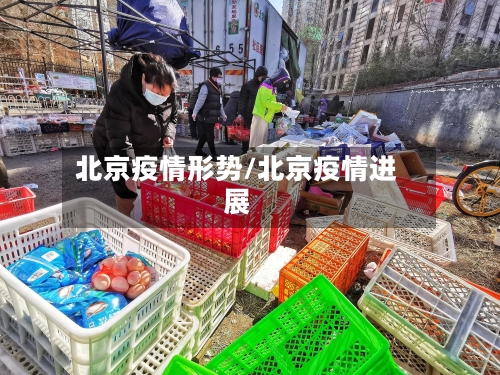 北京疫情形势/北京疫情进展