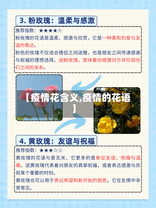 【疫情花含义,疫情的花语】