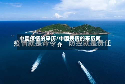 中国疫情的来历/中国疫情的来历简介-第3张图片
