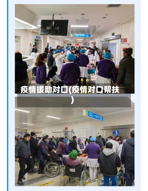 疫情援助对口(疫情对口帮扶)-第3张图片