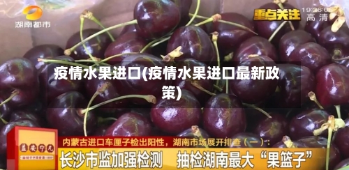 疫情水果进口(疫情水果进口最新政策)-第2张图片