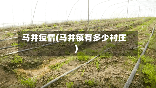 马井疫情(马井镇有多少村庄)-第3张图片