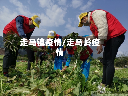 走马镇疫情/走马岭疫情