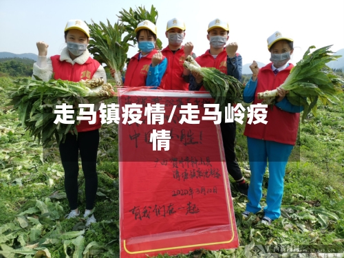 走马镇疫情/走马岭疫情-第2张图片