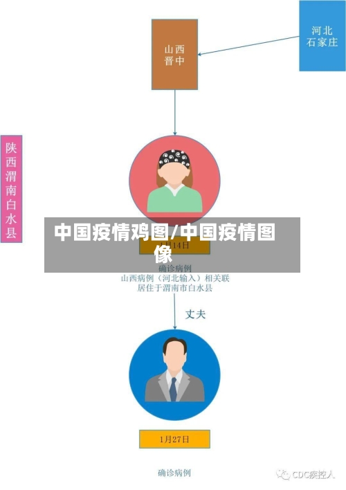 中国疫情鸡图/中国疫情图像
