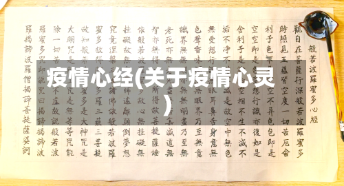 疫情心经(关于疫情心灵)-第2张图片