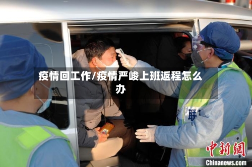 疫情回工作/疫情严峻上班返程怎么办