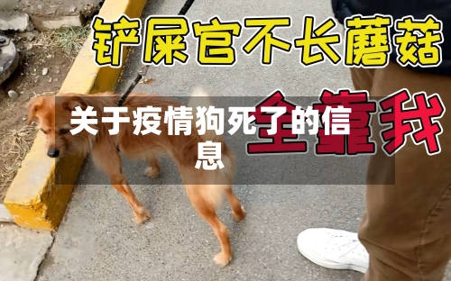 关于疫情狗死了的信息
