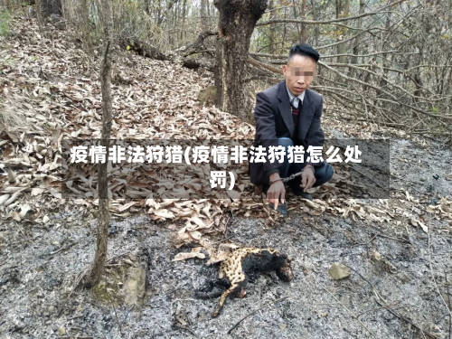 疫情非法狩猎(疫情非法狩猎怎么处罚)