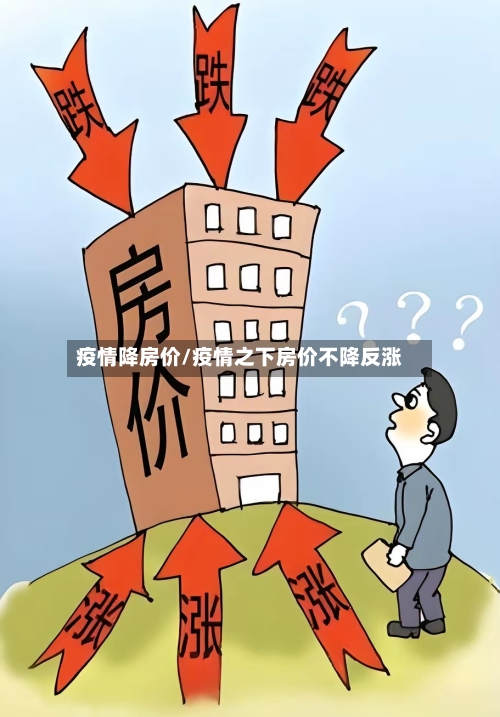 疫情降房价/疫情之下房价不降反涨-第3张图片