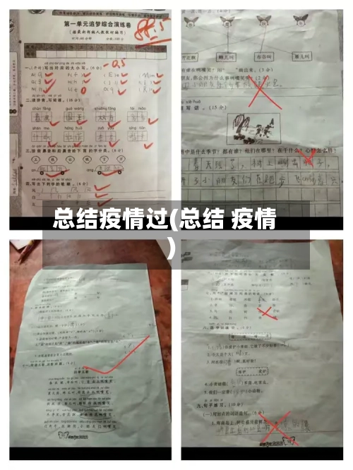 总结疫情过(总结 疫情)-第3张图片