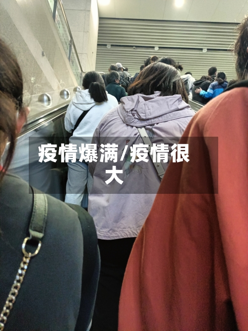 疫情爆满/疫情很大-第3张图片