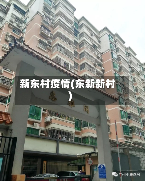 新东村疫情(东新新村)