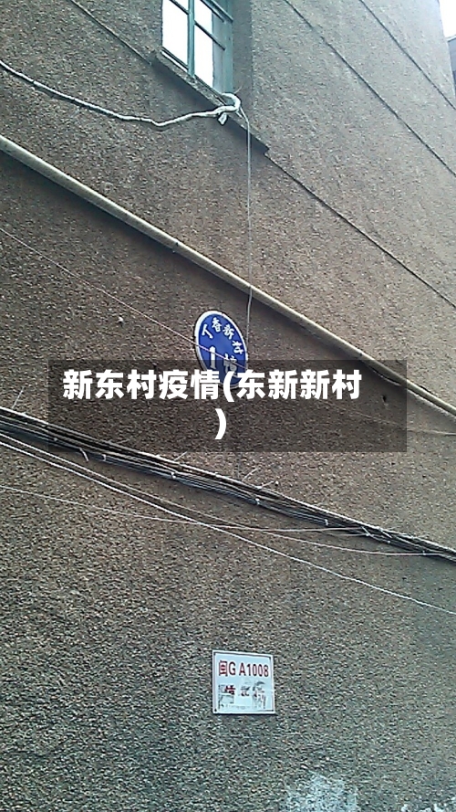 新东村疫情(东新新村)-第2张图片