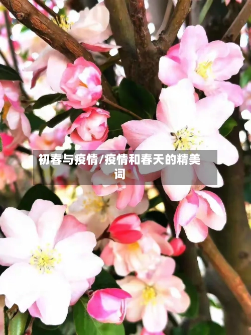 初春与疫情/疫情和春天的精美词-第2张图片