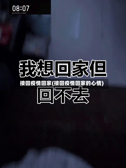 接回疫情回家(接回疫情回家的心情)-第3张图片