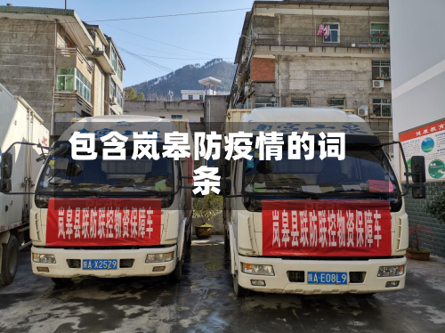 包含岚皋防疫情的词条