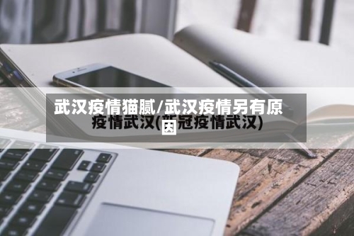 武汉疫情猫腻/武汉疫情另有原因