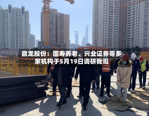 鼎龙股份：国寿养老、兴业证券等多家机构于5月19日调研我司-第2张图片