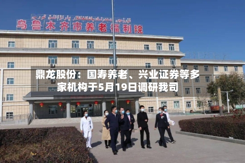 鼎龙股份：国寿养老、兴业证券等多家机构于5月19日调研我司-第3张图片