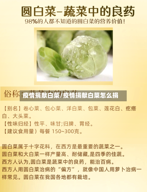 疫情捐献白菜/疫情捐献白菜怎么捐-第3张图片