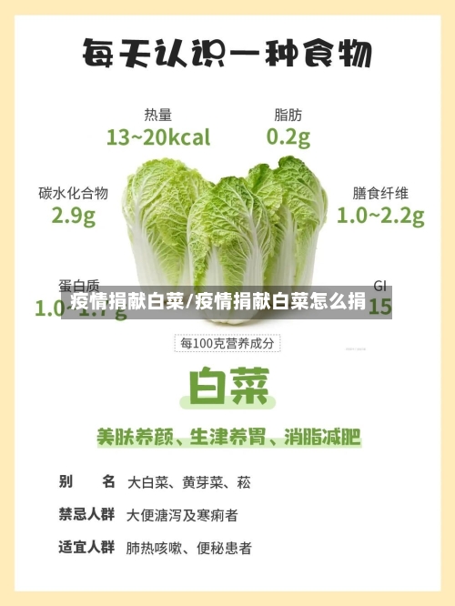 疫情捐献白菜/疫情捐献白菜怎么捐-第2张图片